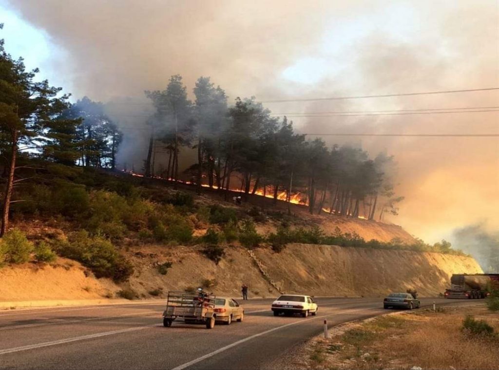 ARİF Köyü Elmalı Yolu üzerinde yangın çıktı